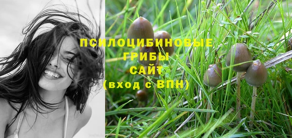2c-b Михайловка