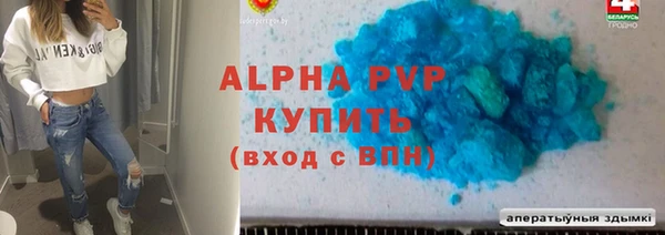 PSILOCYBIN Михайлов