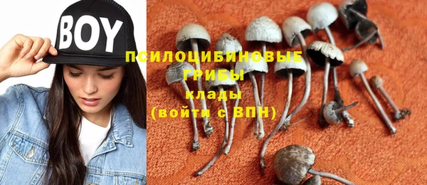 PSILOCYBIN Михайлов
